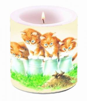 Four Kittens - Kerzen