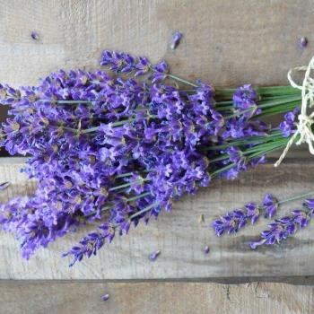 Natural Lavender – Servietten 33x33 cm
