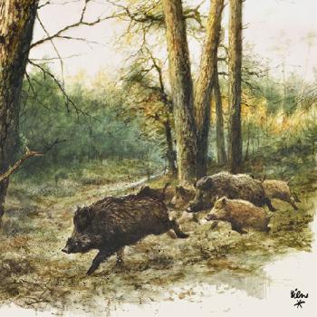 Wild Boar in the woods | Wildschweine - Servietten 33x33 cm