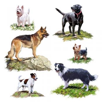 Dogs – Servietten 33x33 cm