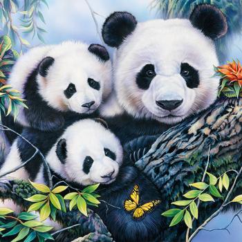 Panda - Servietten 33x33 cm