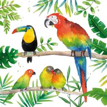 Tropical Birds – Servietten 33x33 cm