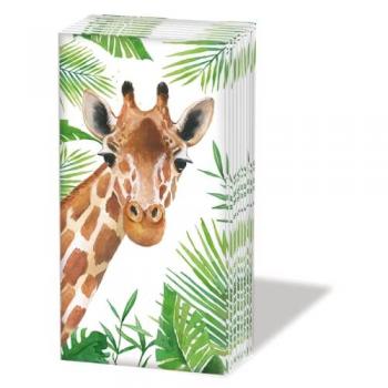 Tropical Giraffe – Taschentücher