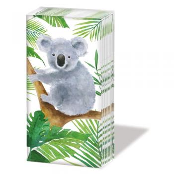 Tropical Koala Bear – Taschentücher