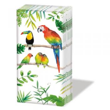 Tropical Birds – Taschentücher