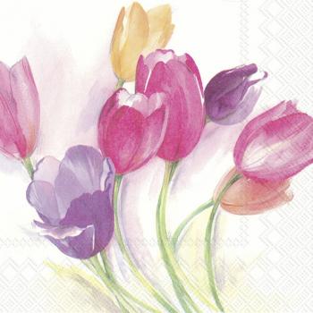 Tulip season – Servietten 33x33 cm