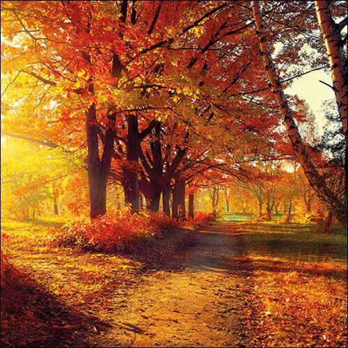 Autumn Park - Serviettne 33x33 cm
