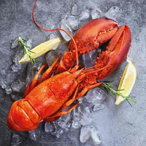 Fresh Lobster Hummerserviette 33x33 cm
