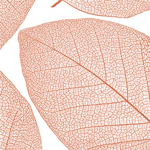 Herbstblatt skelettiert Serviette 25x25 cm