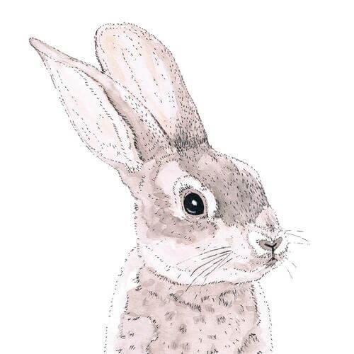 Rabbit Hase Servietten 33x33 cm