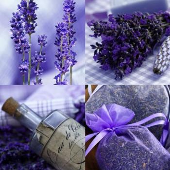 Lavendel Parfuem – Servietten 33x33 cm