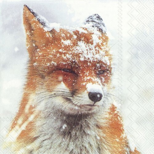 Winter Fox Servietten 33x33 cm