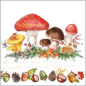 Mushrooms Pilze - Servietten 33x33 cm