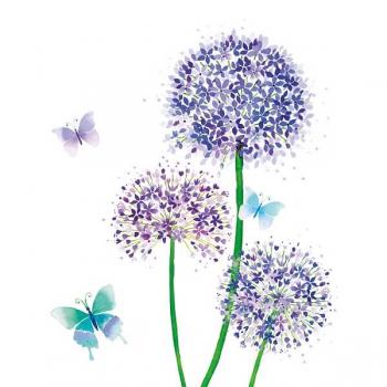 Allium - Zierlauch – Servietten 33x33 cm