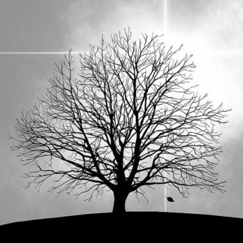 Baum | Trauer - Servietten 33x33 cm