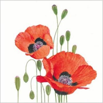 Poppies roter Mohn – Servietten 33x33 cm