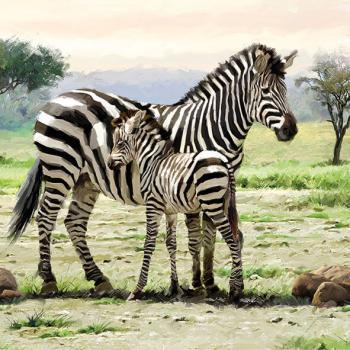 Zebras - Servietten 33x33 cm