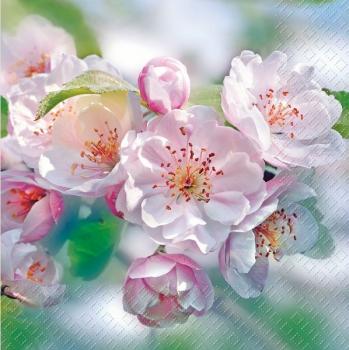 Rita Apfelblüten - Servietten 33x33 cm