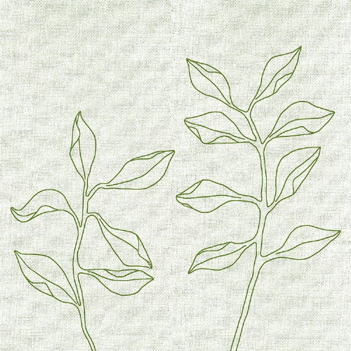 Beauty Fresh Green Cotton Mix - Servietten 38x38 cm