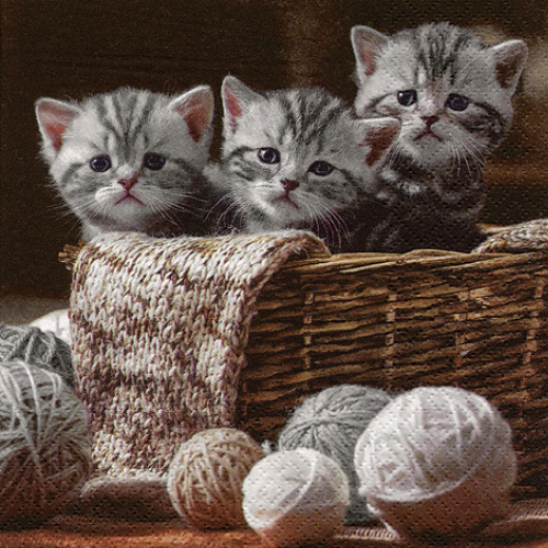 Drei Baby Katzen im Korb - Servietten 33x33 cm