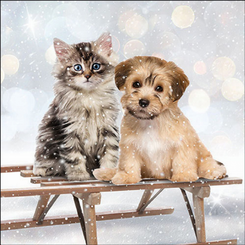 Hund & Katze im Schnee - Servietten 33x33 cm