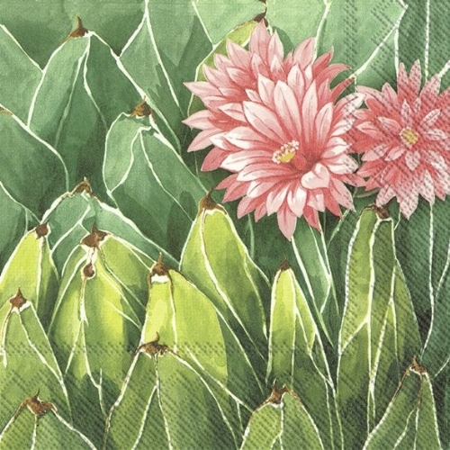 Kaktus mit Blüte Servietten 33x33 cm