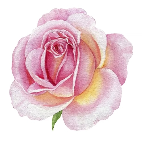 Rose  - Servietten 33x33 cm