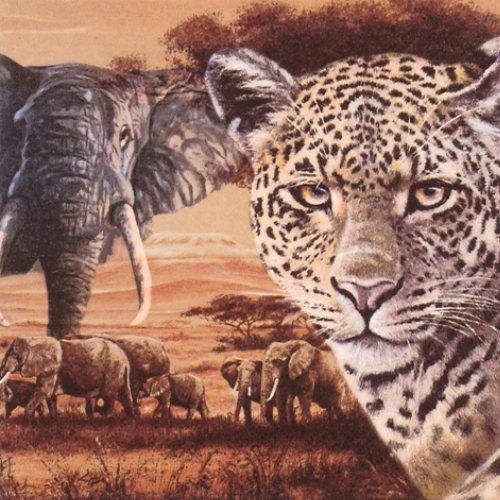 Elefant und Leopard - Servietten 33x33 cm