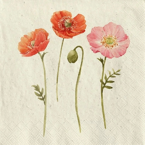 Sommerblumen  - Grasservietten 24x24 cm