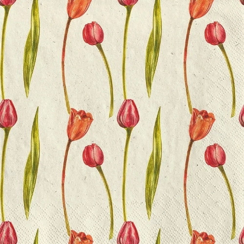 Tulpen  - Grasservietten 24x24 cm