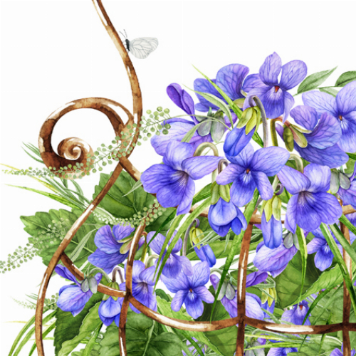 Violettes  - Servietten 33x33 cm