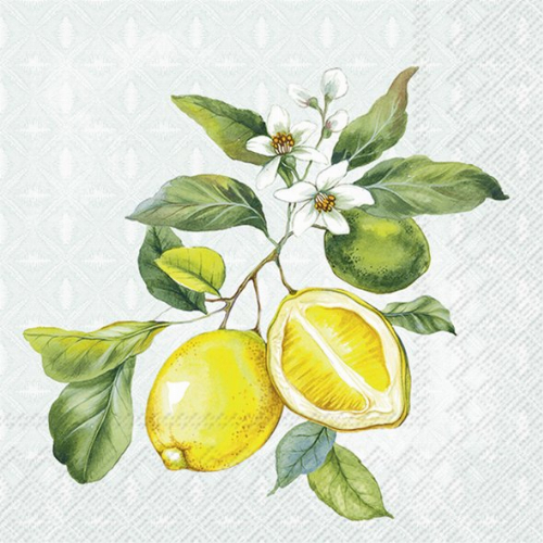 Zitronenblüten   - Servietten 25x25cm2