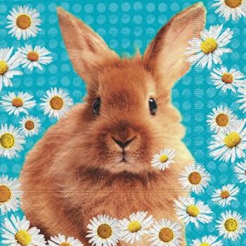Daisy rabbit - Servietten 33x33 cm
