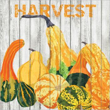 Harvest Kürbisse - Servietten 33x33 cm