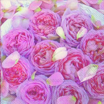 Summer rose - Servietten 33x33 cm