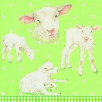 Little Lambs green - Servietten 33x33 cm
