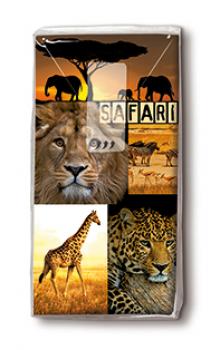 Safari tour - Taschentücher