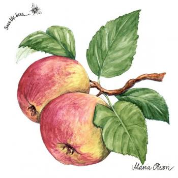 Apfel – Servietten 33x33 cm
