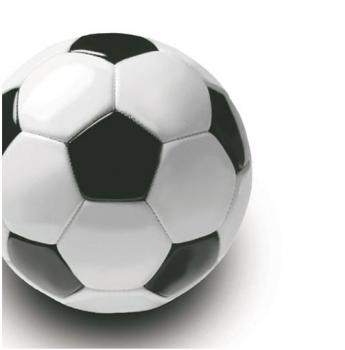 Fussball – Servietten 33x33 cm