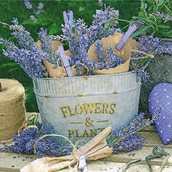 Lavendel im Blecheimer – Servietten 33x33 cm