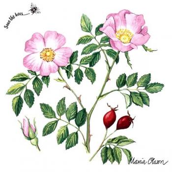 Wildrose mit Biene – Servietten 33x33 cm