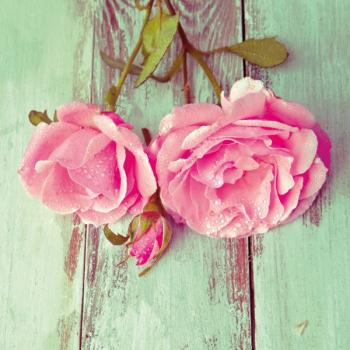 Shabby roses - Servietten 33x33 cm