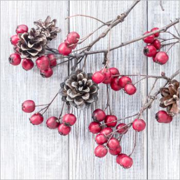 Red Berries on Wood - Servietten 33x33 cm